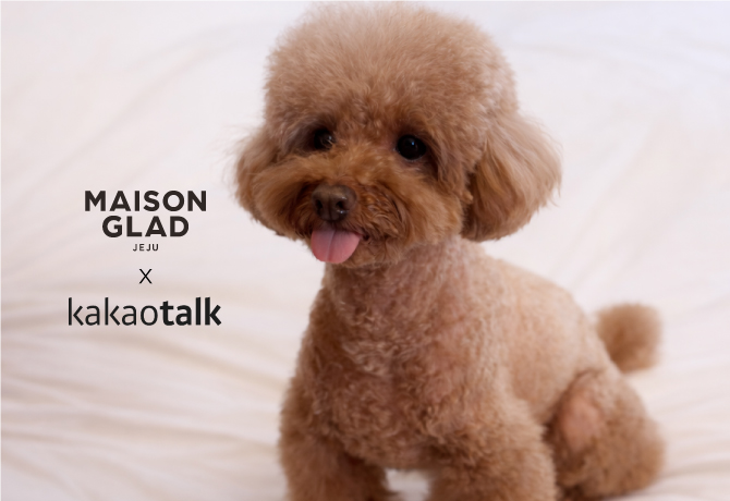 Happy Puppy Day X Kakao Talk
