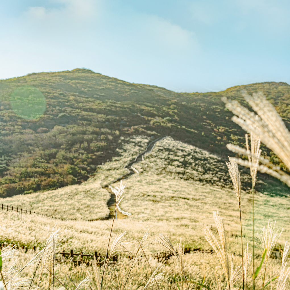 오름 산책